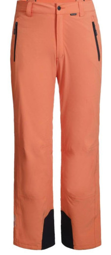 Брюки горнолыжные Icepeak 657038839IV 455 в Иркутске