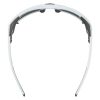 Купить Очки Alpina Skywalsh Q Smoke-Grey Matt/Green Mirror Cat.4 Fogstop в Иркутске