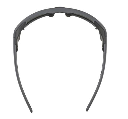 Купить Очки Alpina Skywalsh Q Midnight-Grey Matt/Blue Mirror Cat.4 Fogstop в Иркутске