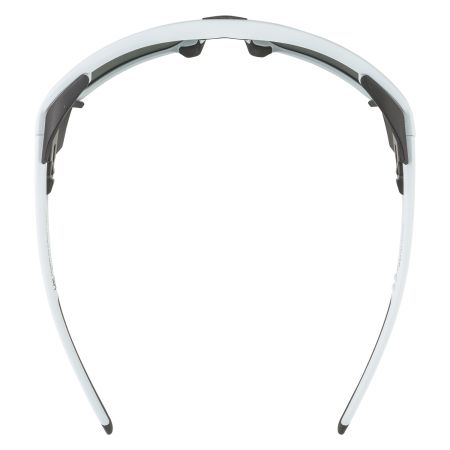 Купить Очки Alpina Skywalsh Q Smoke-Grey Matt/Green Mirror Cat.4 Fogstop в Иркутске