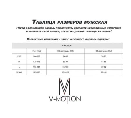 купить Термобельё V-MOTION Base мужской серебристый