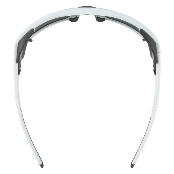 Купить очки alpina skywalsh q smoke-grey matt/green mirror cat.4 fogstop в Иркутске