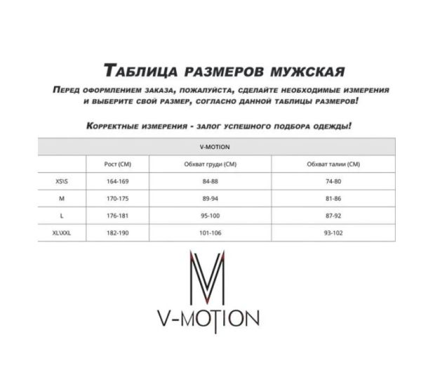 Термобельё V-MOTION Base мужской серебристый в Иркутске
