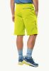 Шорты JW Glastal M светляк
