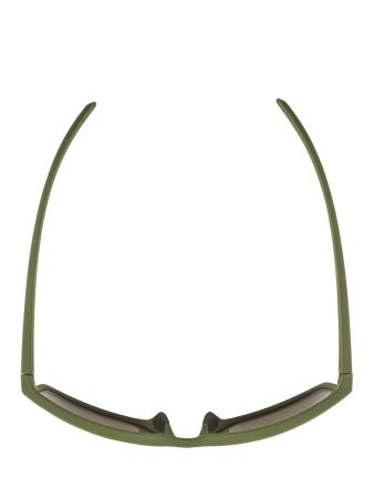 Купить Очки Alpina Nacan I Olive Matt/Bronce Mirror Cat.3 в Иркутске